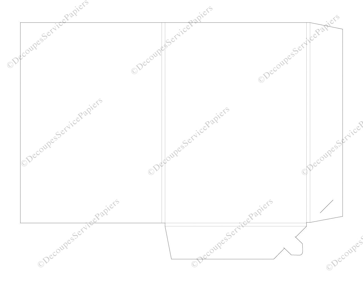 CHEMISE F 215 X 305 R5 O 490 X 360.jpg